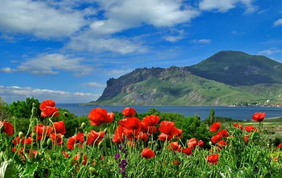 Отдых в Крыму в мае 2026, комплекс «Парк Авеню»