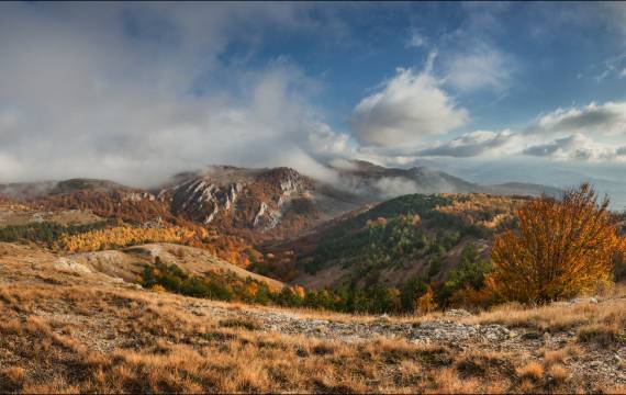 Отдых в Крыму в сентябре 2026, комплекс «Парк Авеню»