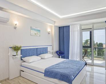 Полулюкс с кухней 